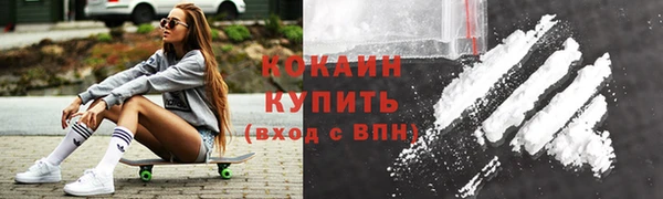 индика Пролетарск