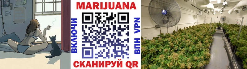 Каннабис план Лаишево